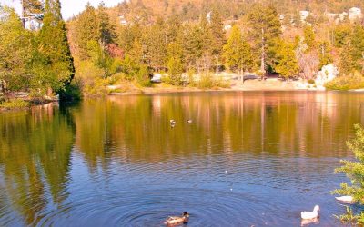 LET’S GO HIKING – Arrowbear Lake