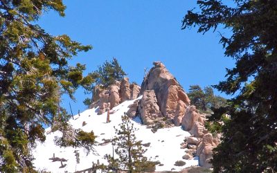 LET’S GO HIKING – Green Valley Campground Trail