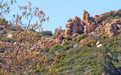 LET’S GO HIKING – Pilot Rock Trail: Part 2