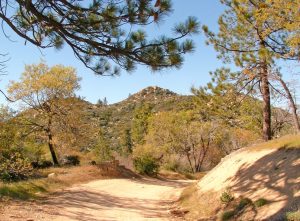 There seems to be no end to viewpoints along the trail. It’s a picturesque route!