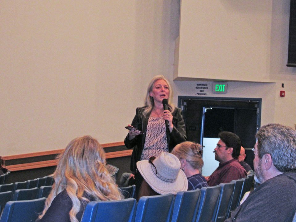 Realtor Brenda Meyer addressed some of the issues surrounding insurance.event. (Photos by Mary-Justine Lanyon)
