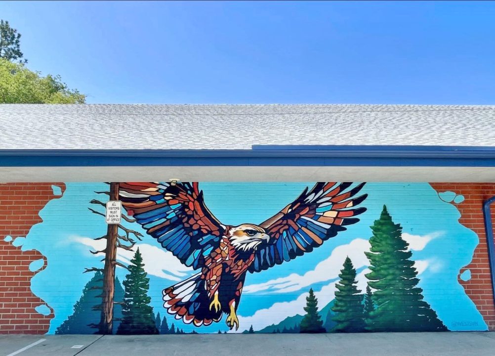The finished mural shows the hawk in flight. (Photo: VOE Elementary School)