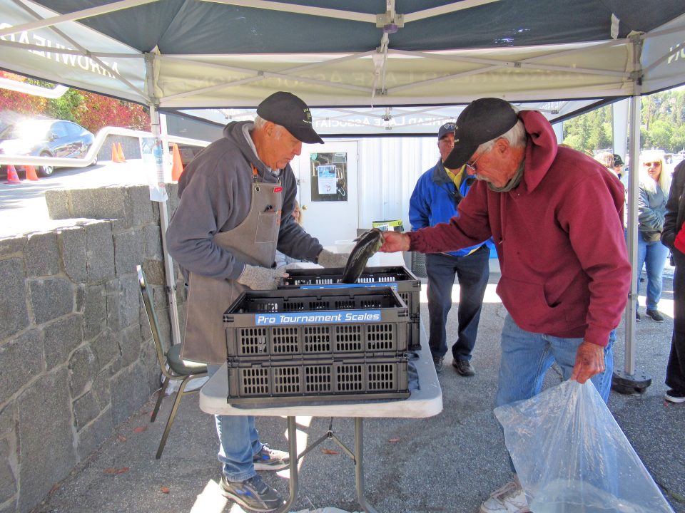 Men weighing fish at outdoor event.