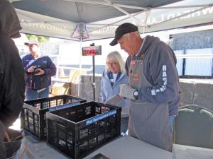 Mary Jo Alari watches as Bill Saska weighs an angler’s fish. Her late husband, Gary, had manned the scale for several years.
