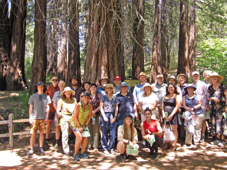 Group posing in forest with tall trees.