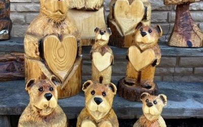 Come watch a bear emerge from a log
