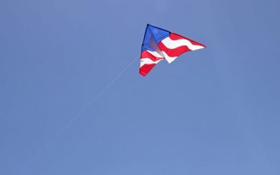 Festival draws dozens of kites