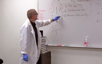 Learning by doing: The benefits of a hands-on experience