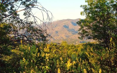 LET’S GO HIKING – North Shore Campground