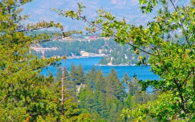 LET’S GO HIKING – Will Abell Memorial Trail