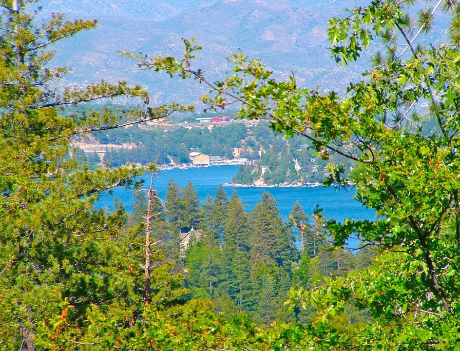 Mountain lake surrounded by lush green forest.