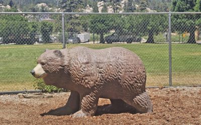 Arrowbear Park gets several new features