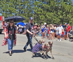 These rescued Weimaraners have found a home in Green Valley Lake.