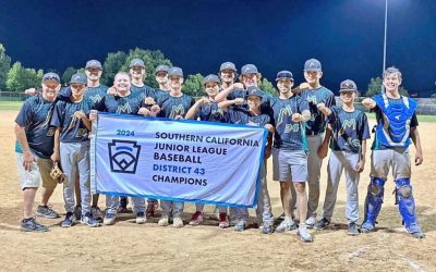 Little Leaguers win all-star tournament