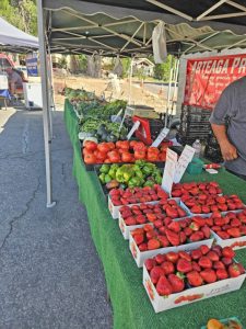 From bright red strawberries to green squash, the colors of the vegetables would please an artist’s eye.