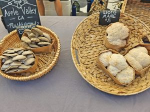 Blue oyster and lion’s mane are two of the unusual mushrooms available at the market.