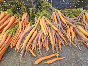 Carrots also come in a variety of shades.