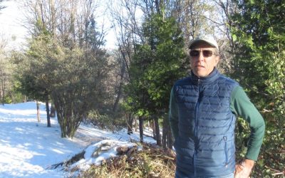 Blue Triton ordered to stop taking water from mountain