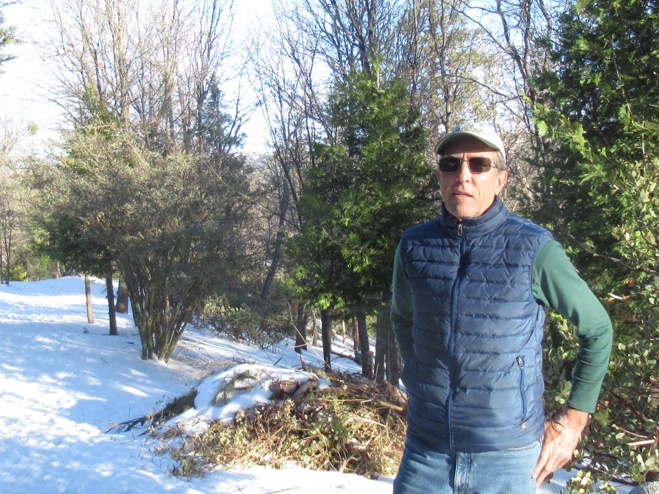 Person standing in snowy forest with sunglasses and cap.