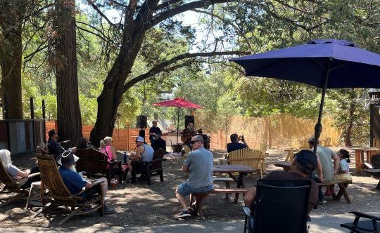 Attendees enjoying live music in the beer and wine garden.