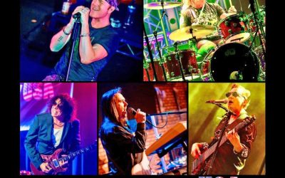 Concert Under the Stars: An evening of serious fun