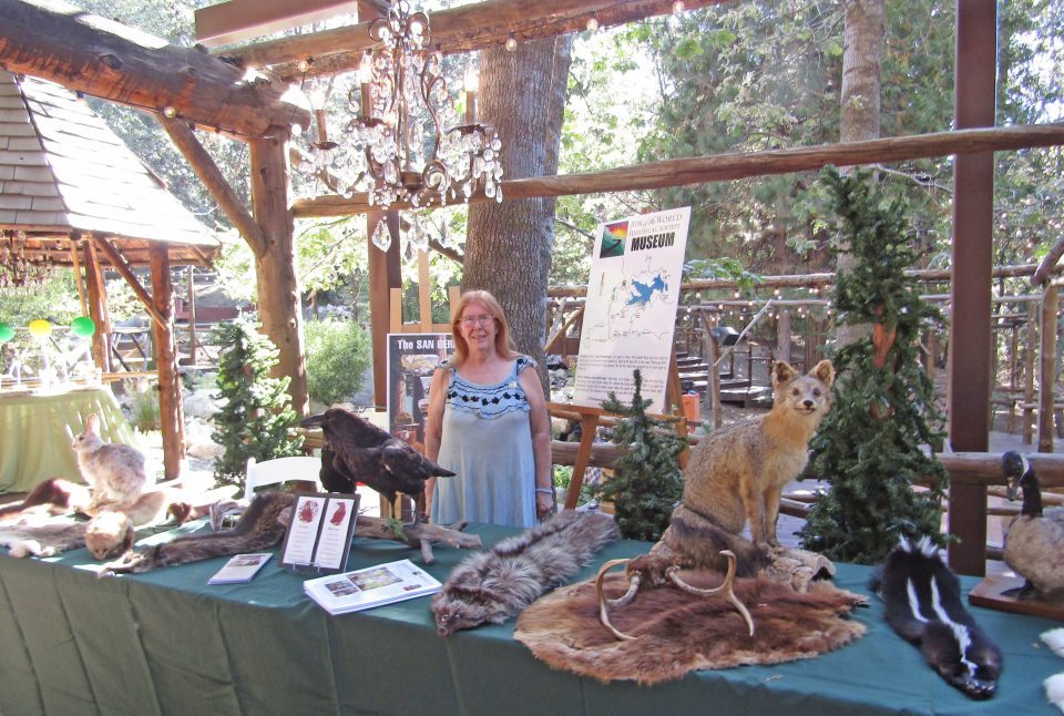 Local Historian Rhea-Frances Tetley brought taxidermied forest animals from the Mountain History Museum.