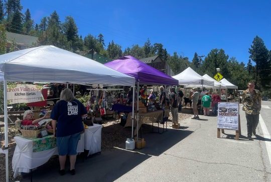 Vendors lined Green Valley Lake Road during the 2024 Woodstock party.
