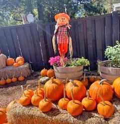 Start fall off at the Harvest Festival