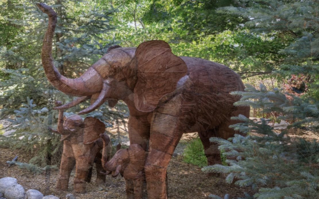 Stroll through these gardens, marveling at the whimsical statues and enjoying the music of the strings students.