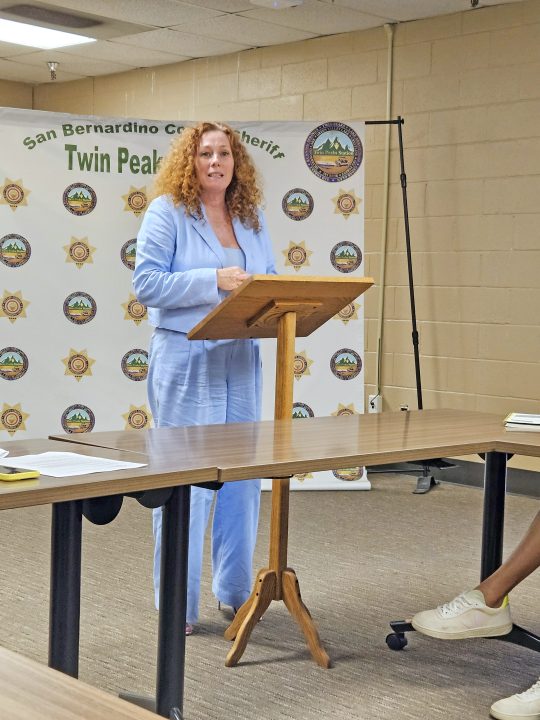 Carrie Harmon described what the Community Development and Housing Department does.