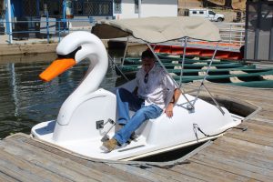 The swan paddleboat, added last year, proved a popular item for Lake Gregory visitors, shown here by Lake Gregory Manager Nathan Godwin.