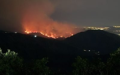 Nighttime forest fire on mountainside