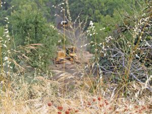 Bulldozers cut a dozer line in Daley Canyon from Highway 18 to the east flank of the Line Fire.