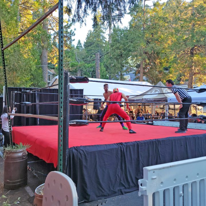 Outdoor wrestling match in park setting