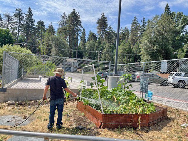 Jason Ballew watering the pumpkin bed. The sign gives information on pumpkins and their care and use.