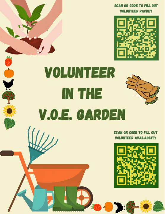 Interested in volunteering? Fill out the volunteer packet and your availability.