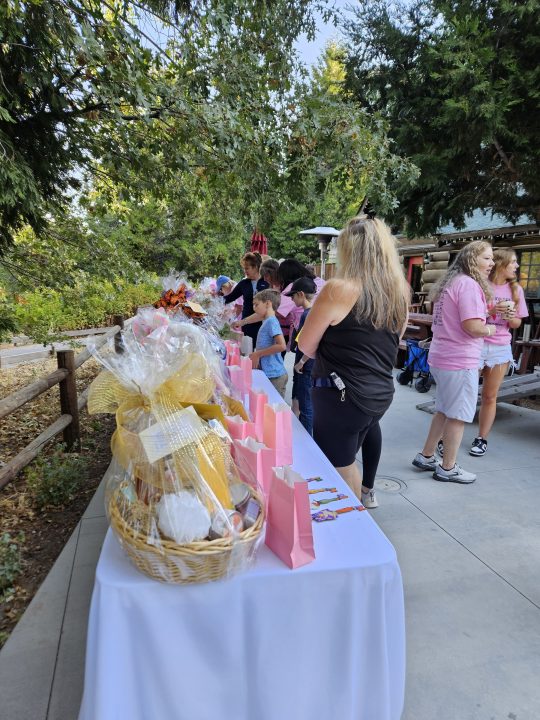 People examining table with gift bags outdoors.