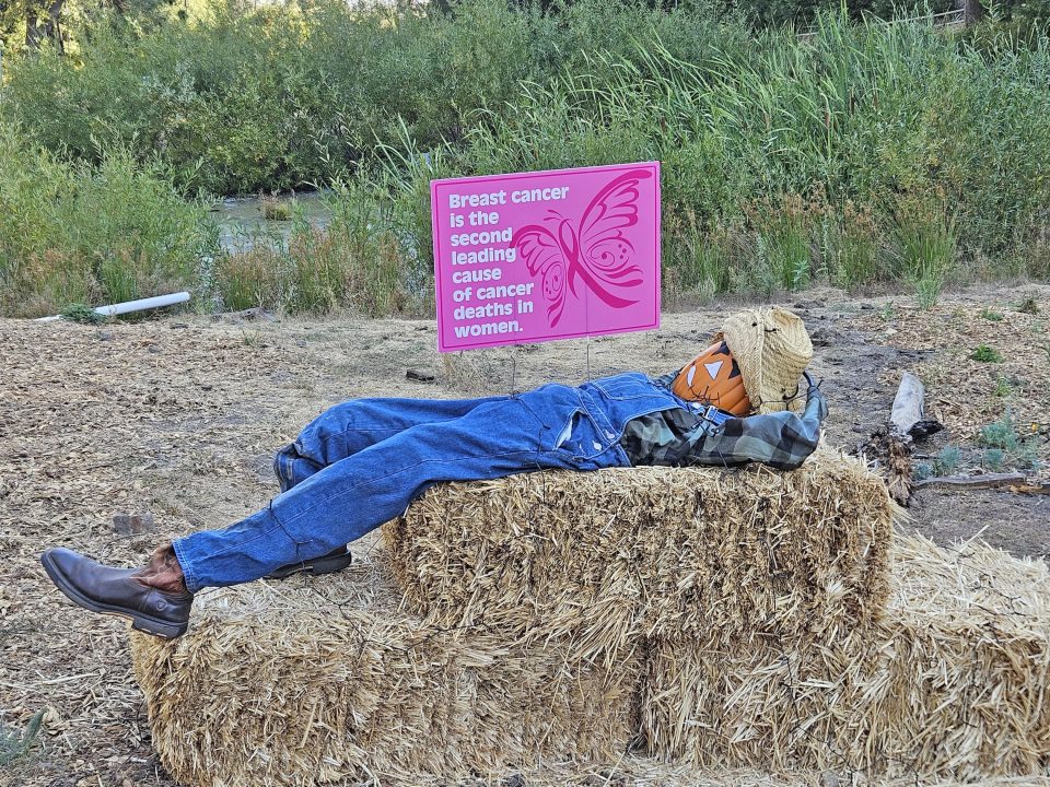 Breast cancer, warned this scarecrow in the Meadowlands, is the second leading cause of cancer deaths in women. 