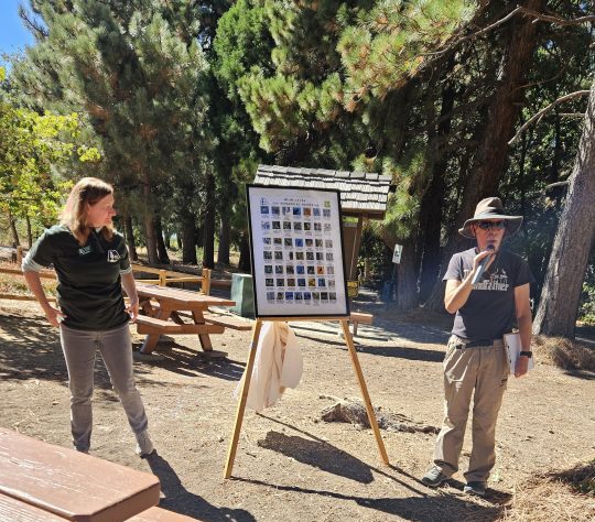 Outdoor presentation in a forest setting.