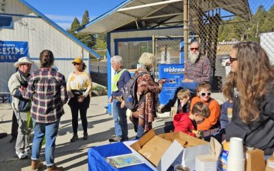 Helping to make the village shine