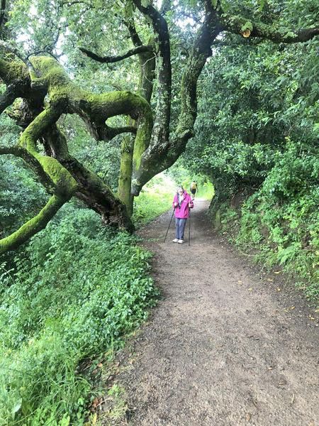 Ethel on a particularly scenic portion of El Camino. (Photo by Fritz Ward)