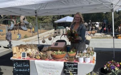 Fall Fest brings the community together