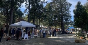 Vendors like Shop Lady Stardust lined up from all over the mountain to share their work at Fall Fest.