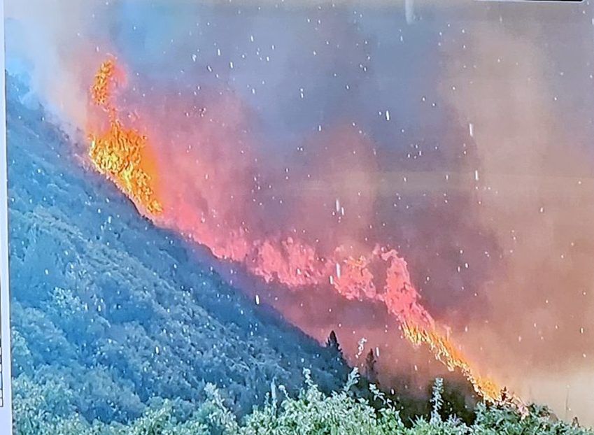Forest wildfire spreading on mountainside