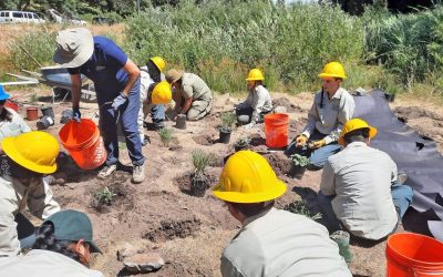 Volunteers help restore SkyPark Meadowlands conservation area