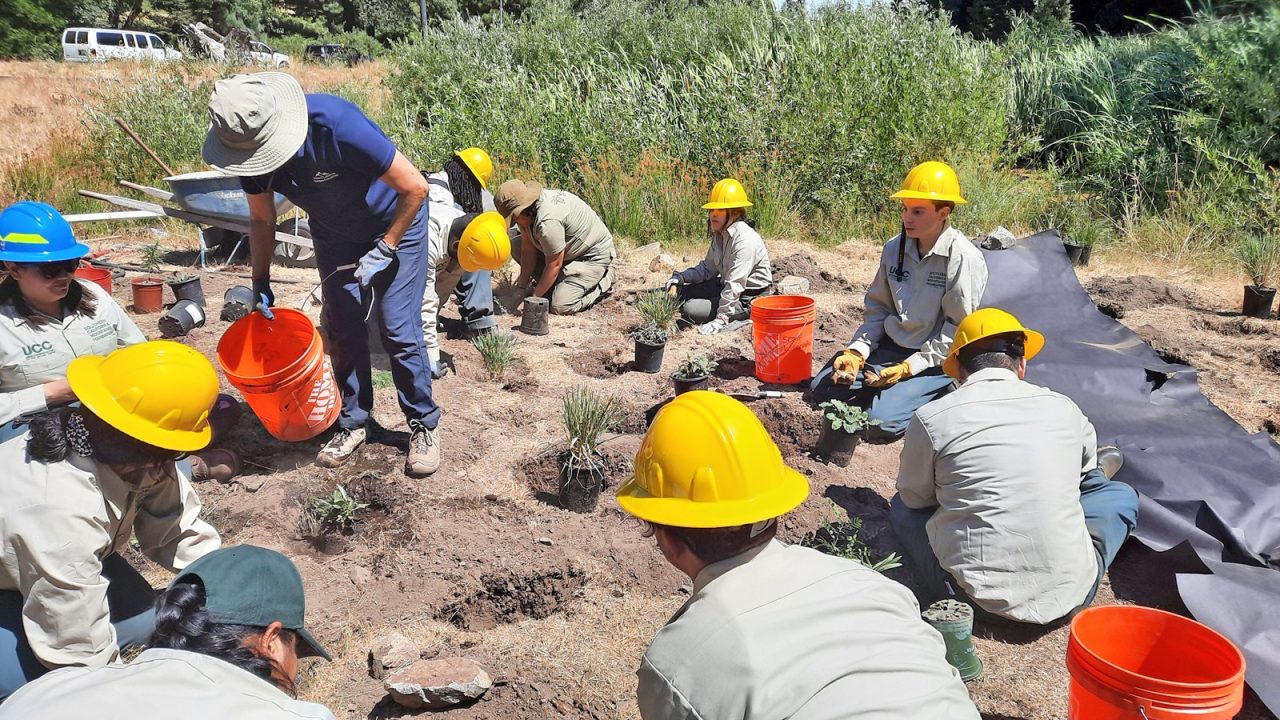 Adrianne, Lisa, Julia, Melissa and Adrianna from Glendora and Orange County enjoyed last year’s Brewfest at Tavern Bay Beach Club so much they couldn’t resist attending this year’s event. (Photos by Douglas W. Motley) Group planting native plants in outdoor conservation area.