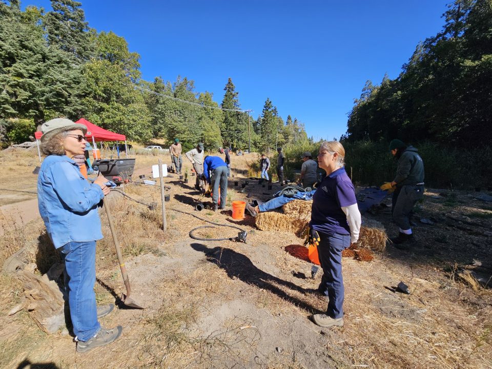 Adrianne, Lisa, Julia, Melissa and Adrianna from Glendora and Orange County enjoyed last year’s Brewfest at Tavern Bay Beach Club so much they couldn’t resist attending this year’s event. (Photos by Douglas W. Motley) Volunteers working in community garden under clear sky.