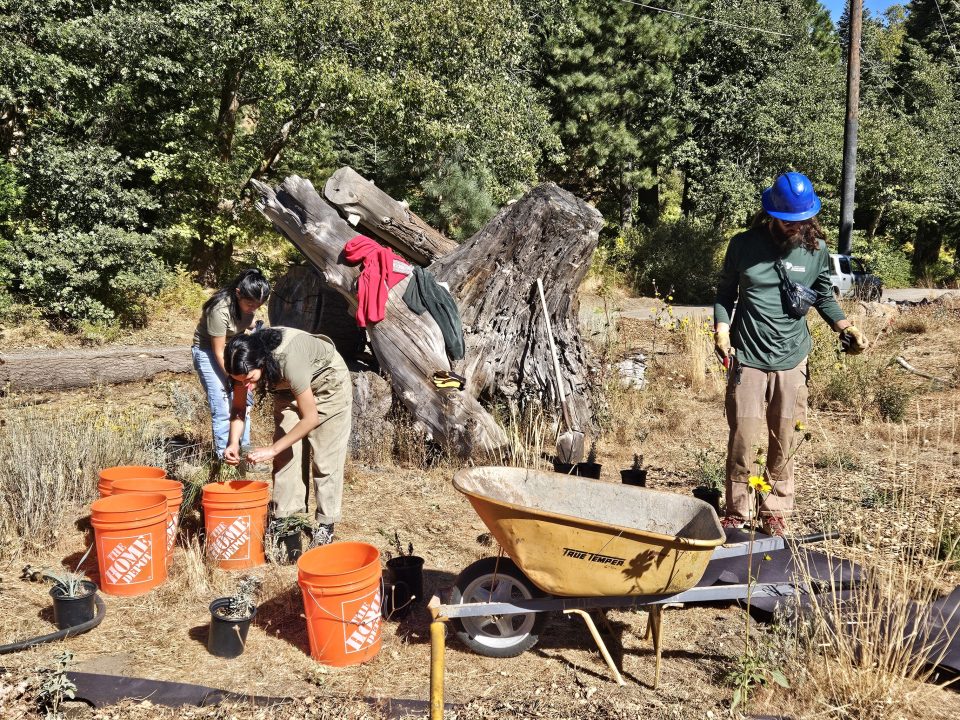 Some of the volunteers were part of the California Climate Action Corps.