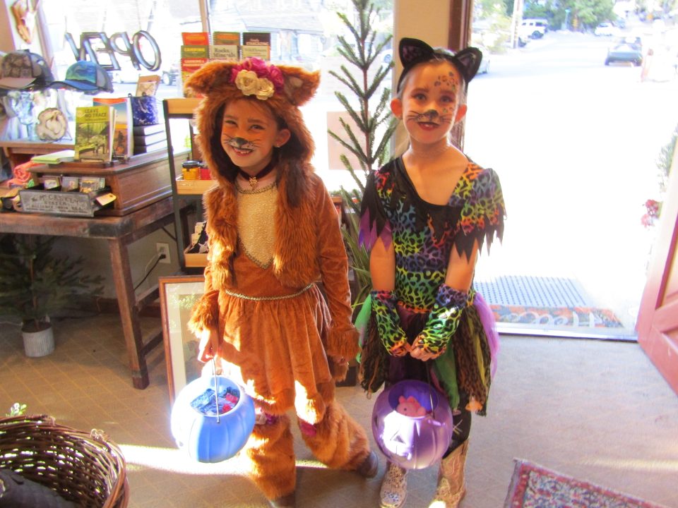 Adrianne, Lisa, Julia, Melissa and Adrianna from Glendora and Orange County enjoyed last year’s Brewfest at Tavern Bay Beach Club so much they couldn’t resist attending this year’s event. (Photos by Douglas W. Motley) Two children in colorful cat costumes with candy buckets.