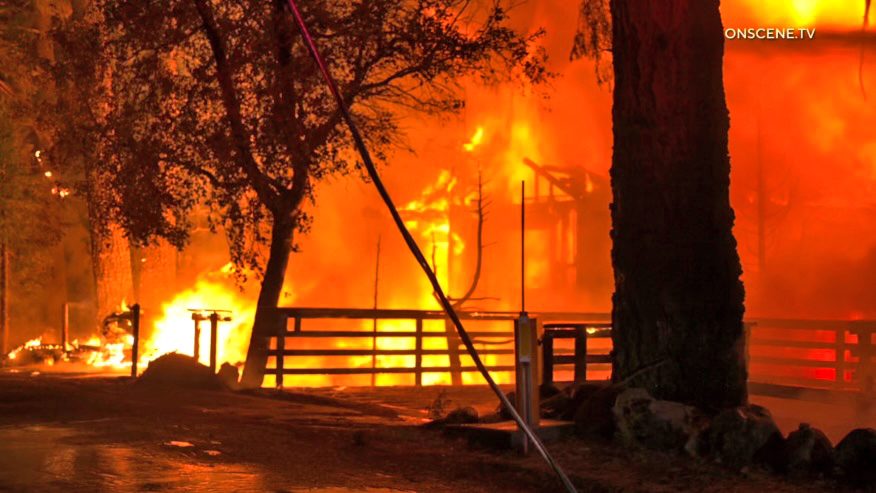 Raging wildfire engulfs forested area at night.
